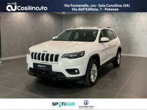 JEEP Cherokee Diesel 2019 usata