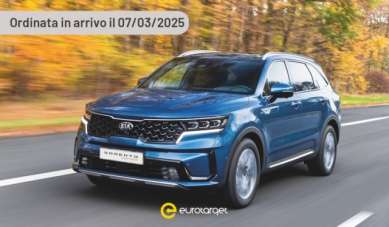 KIA Sorento Elettrica/Benzina usata