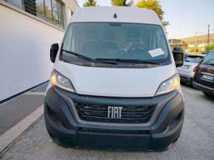 FIAT Ducato Diesel 2024 usata, Forli-Cesena