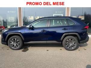 TOYOTA RAV 4 Elettrica/Benzina usata, Reggio Nell'Emilia