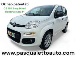 FIAT Panda Benzina/Metano 2016 usata