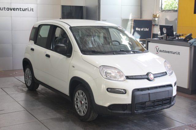 FIAT Panda Elettrica/Benzina 2023 usata, Viterbo foto