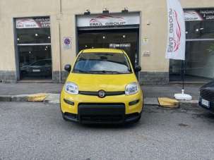 FIAT Panda Elettrica/Benzina 2024 usata