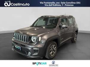 JEEP Renegade Benzina 2019 usata