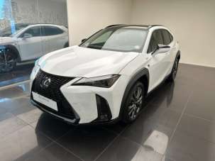 LEXUS UX 250h Elettrica/Benzina 2023 usata, Cuneo