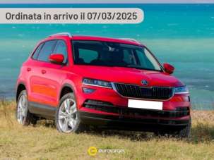 SKODA Karoq Diesel usata