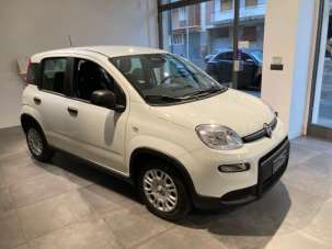 FIAT Panda Elettrica/Benzina 2024 usata, Alessandria