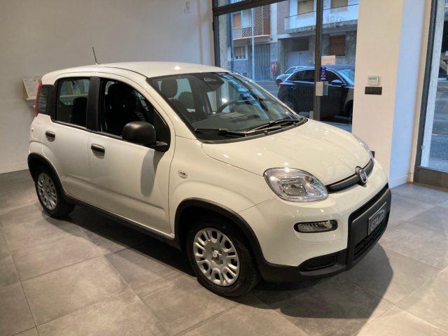 FIAT Panda Elettrica/Benzina 2024 usata, Alessandria foto