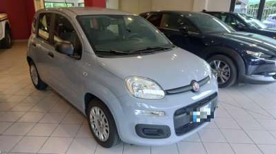 FIAT Panda Elettrica/Benzina 2022 usata