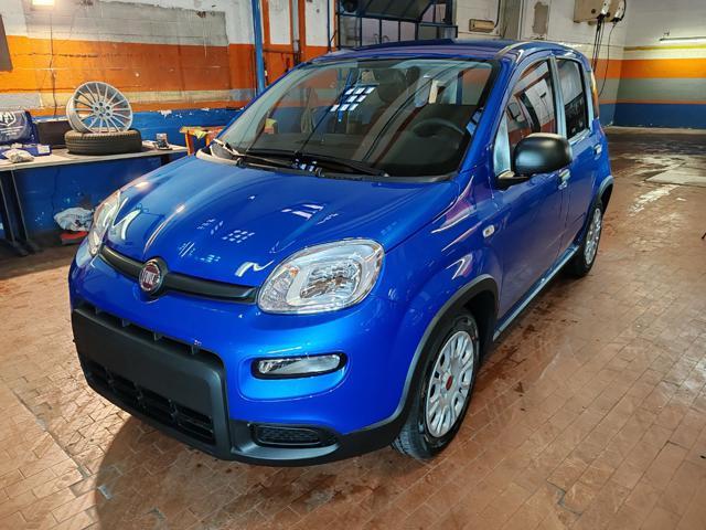 FIAT Panda Elettrica/Benzina 2024 usata foto