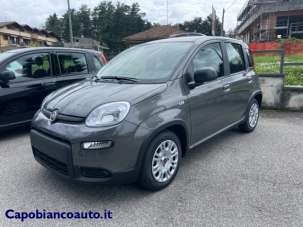 FIAT Panda Elettrica/Benzina 2024 usata