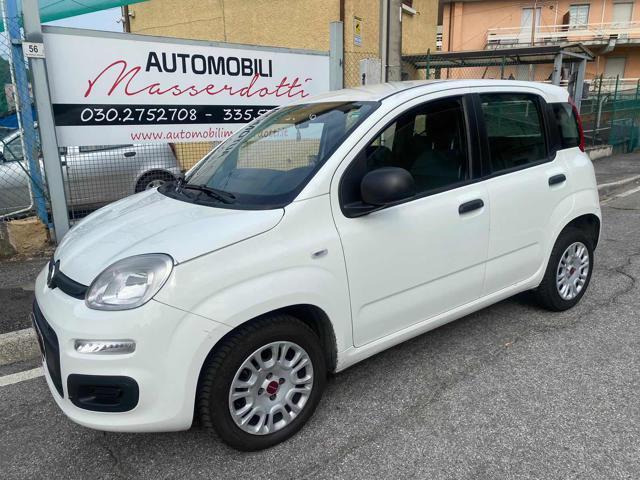 FIAT Panda Benzina 2019 usata foto