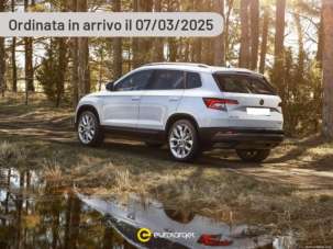 SKODA Karoq Diesel usata