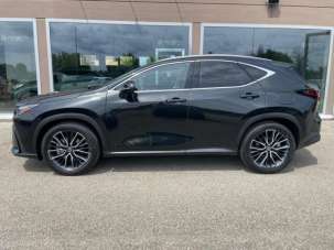 LEXUS NX 450h Elettrica/Benzina usata, Reggio Nell'Emilia