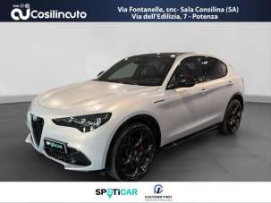 ALFA ROMEO Stelvio Diesel 2024 usata