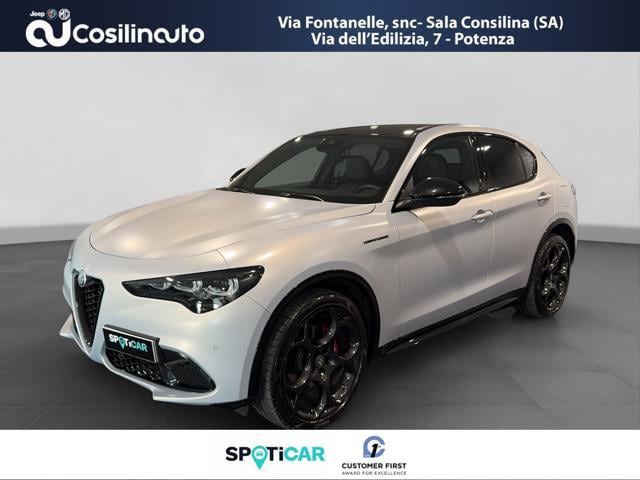 ALFA ROMEO Stelvio Diesel 2024 usata foto