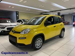 FIAT Panda Elettrica/Benzina 2024 usata