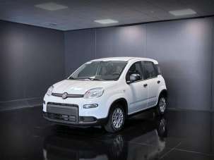 FIAT Panda Elettrica/Benzina 2024 usata, Belluno