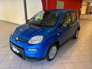 FIAT Panda Elettrica/Benzina 2024 usata