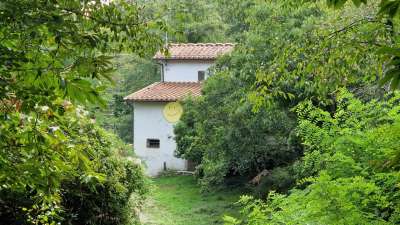 Vendita Eptavani, Greve in Chianti