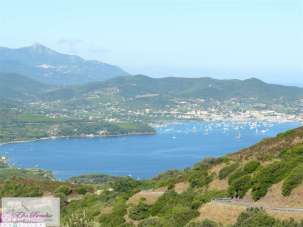 Vendita vendita, Portoferraio