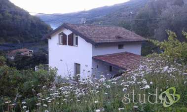 Vendita vendita, Dolceacqua