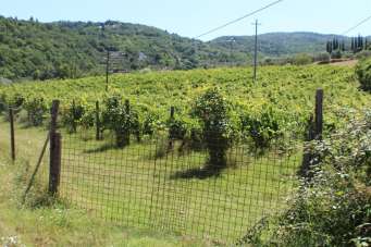 Vendita Terreno Agricolo, Rufina