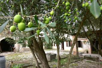 Vendita Multivani, Santa Lucia di Piave