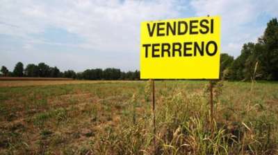 Vendita Pentavani, Colli al Metauro