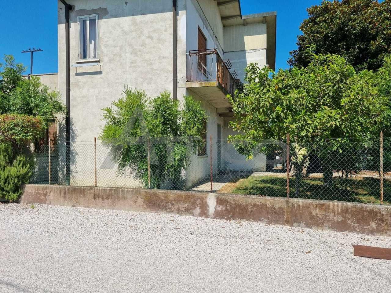Vendita Pentavani, Rovigo foto