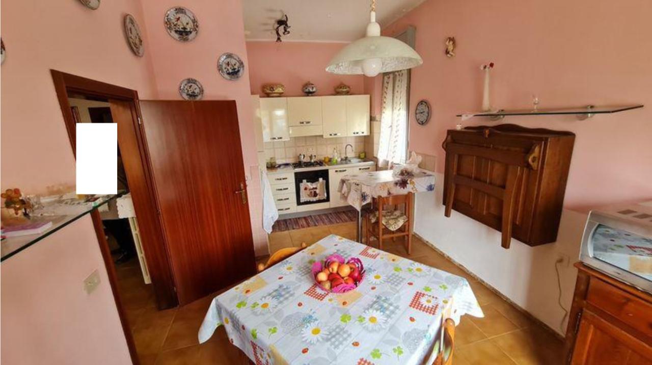Vendita Multivani, Bagnacavallo foto