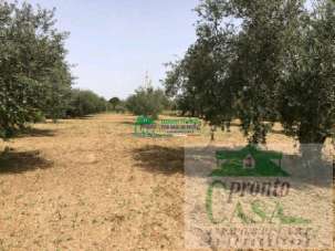 Vendita Terreno Agricolo, Comiso Vendita Terreno Agricolo, Comiso