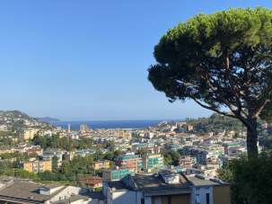 Venda Trivani, Rapallo