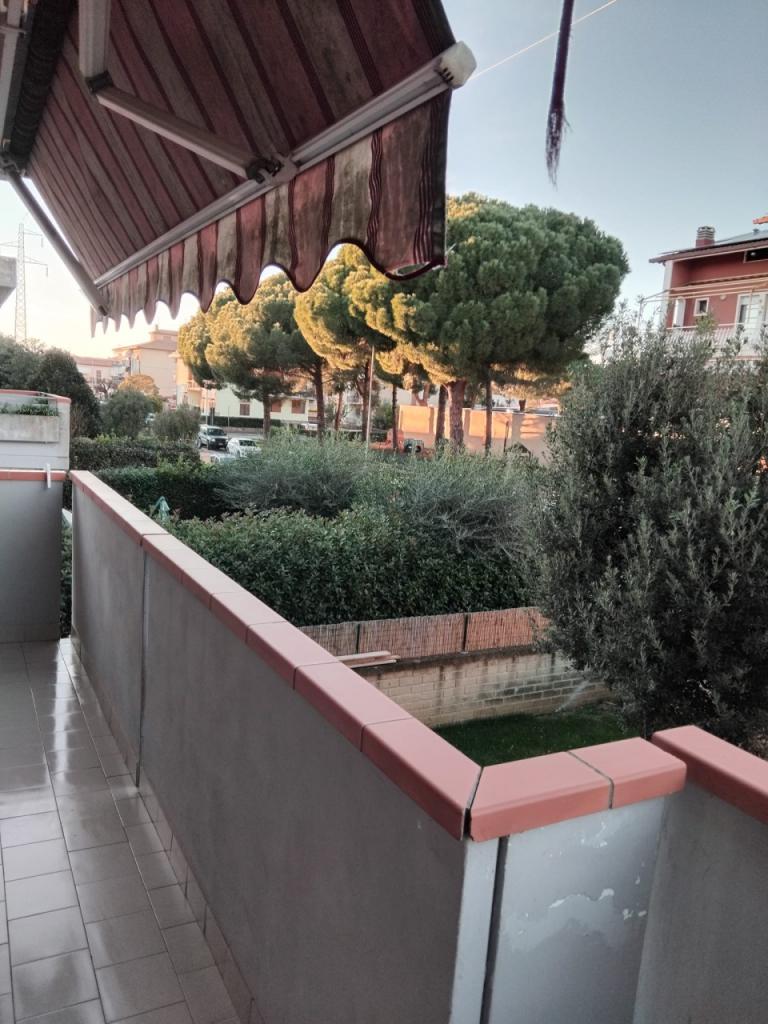 Vendita Trivani, Scarlino foto