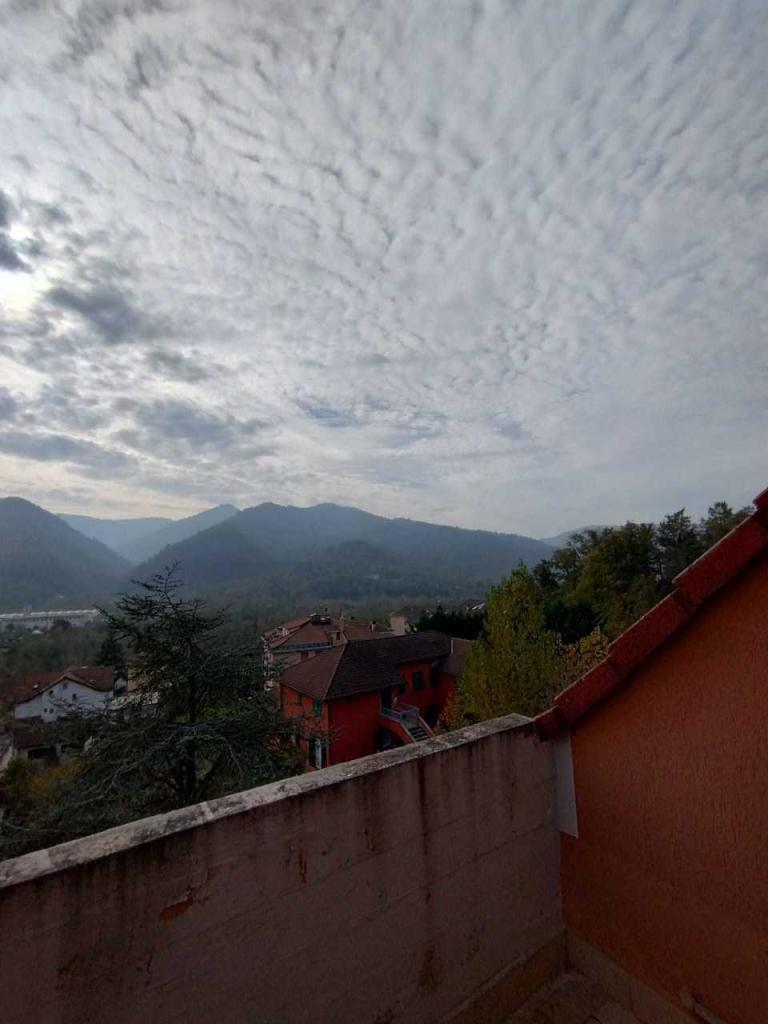 Vendita Pentavani, Casella foto