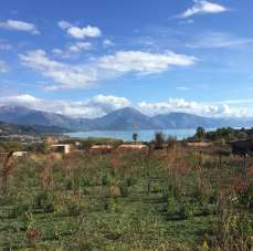 Vendita Terreno, San Giovanni a Piro Vendita Terreno, San Giovanni a Piro