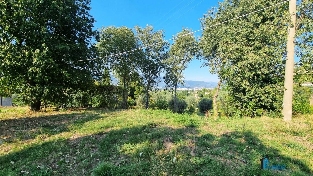 Vendita Quadrivani, Terni foto