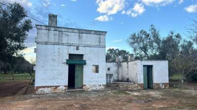 Vendita Trivani, Ceglie Messapica Vendita Trivani, Ceglie Messapica
