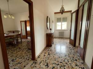 Vendita Pentavani, Cecina Vendita Pentavani, Cecina