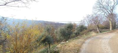 Vendita Terreni, Altavilla Vicentina Vendita Terreni, Altavilla Vicentina