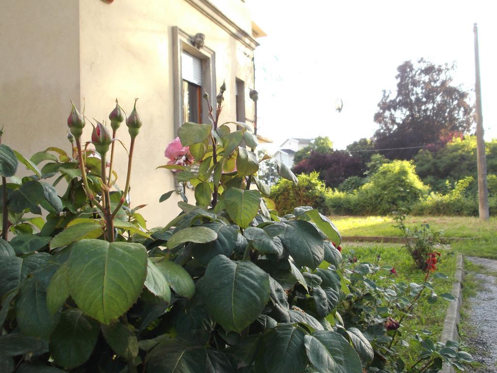 Vendita Appartamento, Mondovi foto
