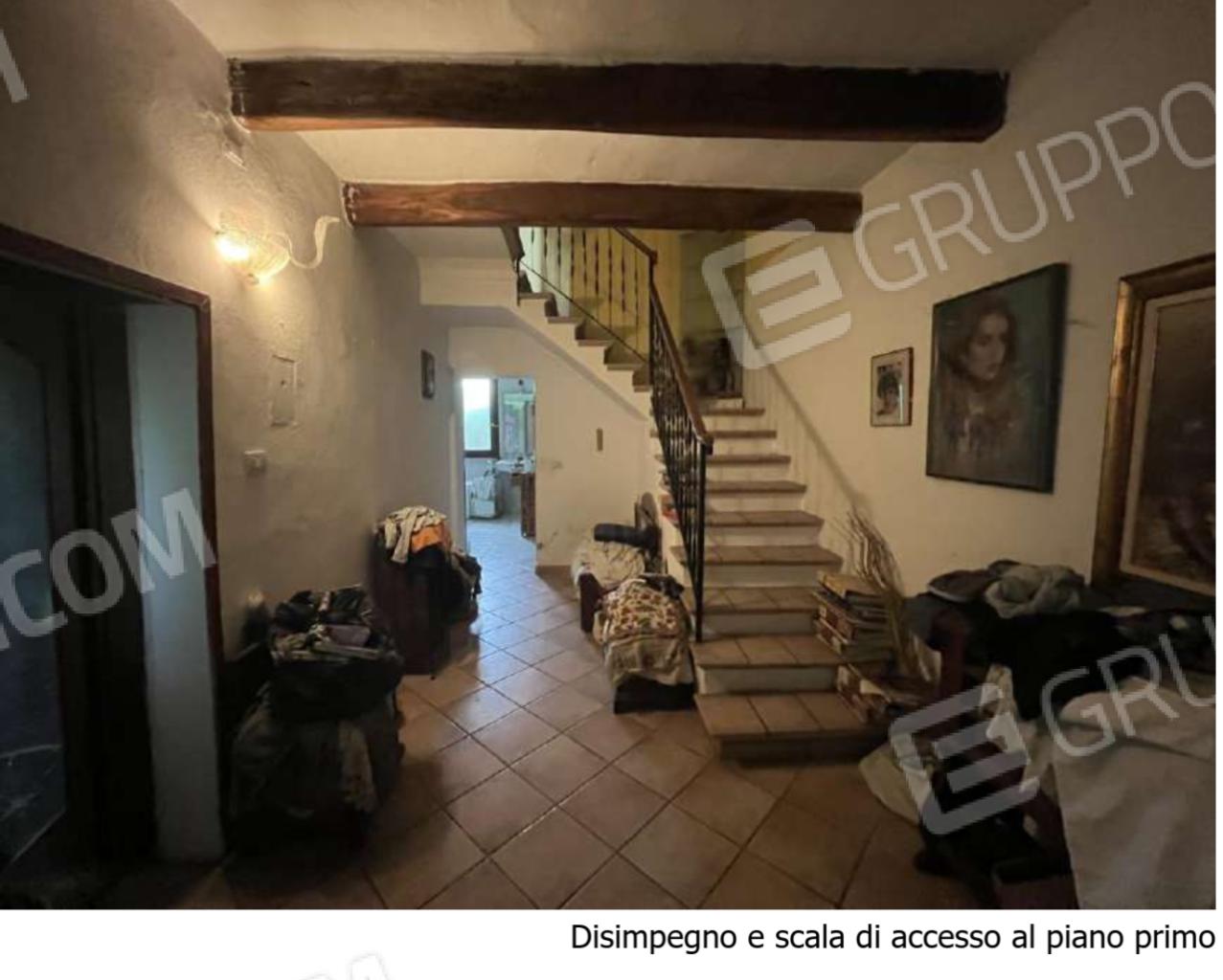 Vendita Multivani, Ravenna foto