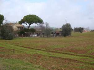 Vendita Multivani, Rosignano Marittimo