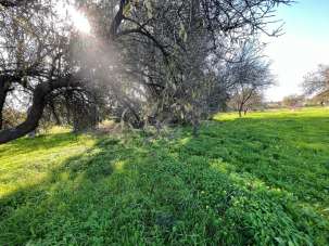 Vendita Terreni, Motta Sant'Anastasia Vendita Terreni, Motta Sant'Anastasia
