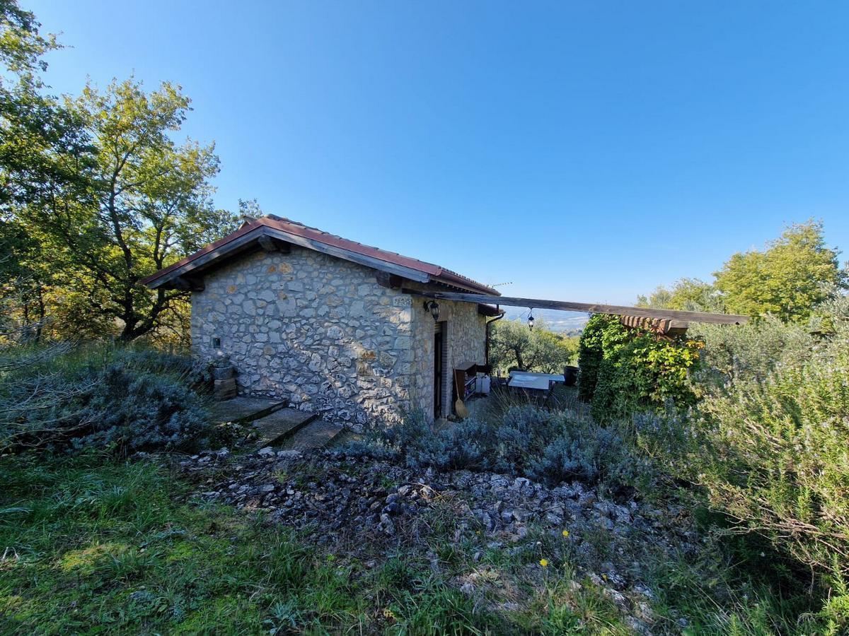 Vendita Bivani, Montecchio foto