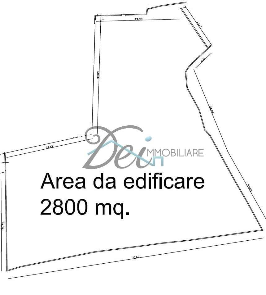Vendita vendita, Capannori foto