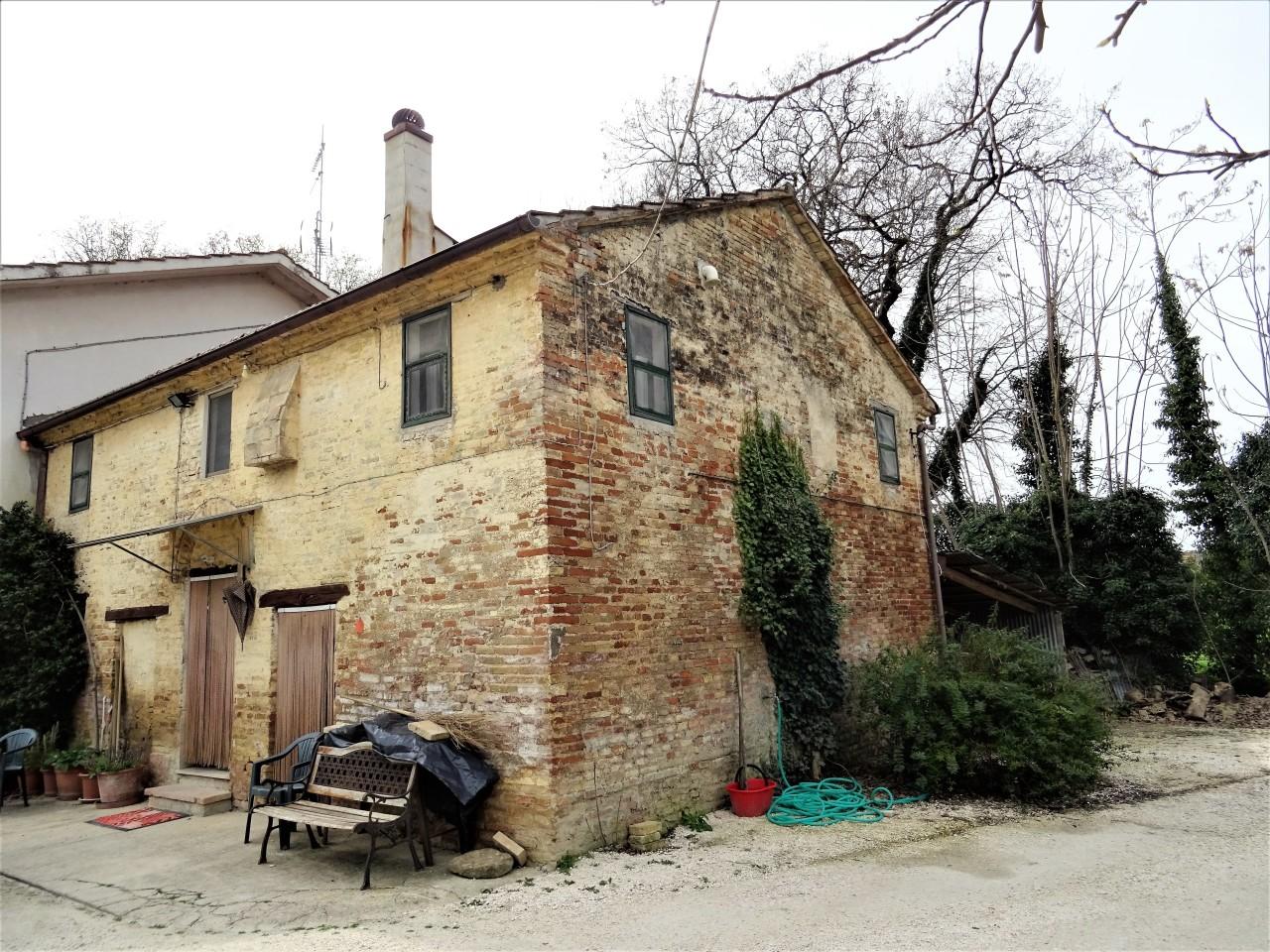 Vendita Esavani, Ostra foto