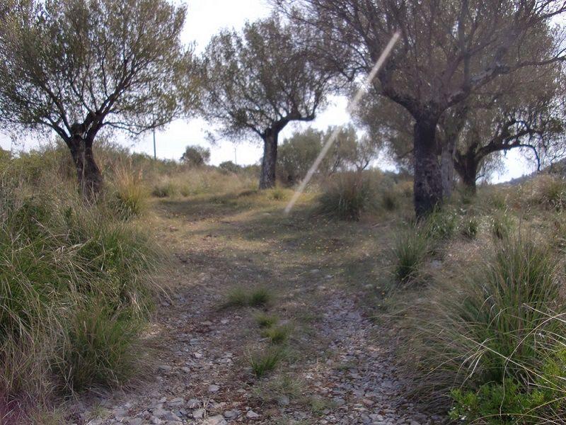 Vendita Terreno, San Giovanni a Piro foto