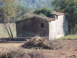 Vendita Multivani, Camaiore Vendita Multivani, Camaiore