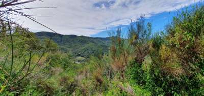 Vendita Trivani, Alassio Vendita Trivani, Alassio